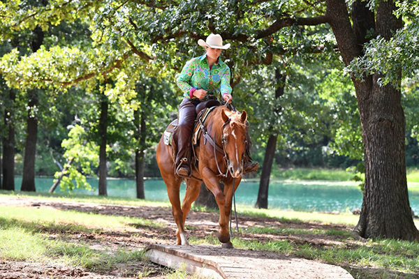 AQHA Officially Launches Six New Classes