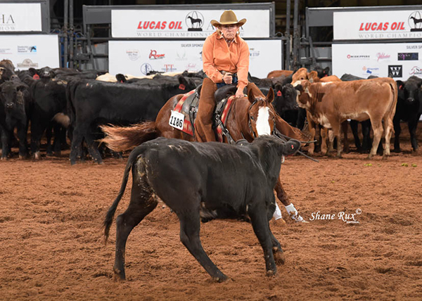 41st Annual Triangle Fall Sale Coming to AQHA World Show