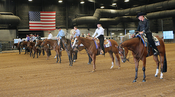 Arizona Quarter Horse Producing Two Back-To-Back Circuits This Fall
