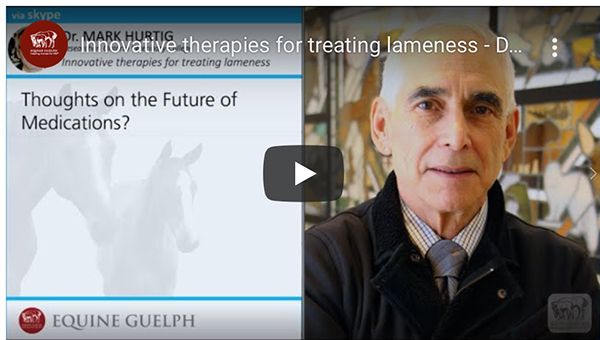 Innovative Research on Equine Lameness and Conditioning Tips