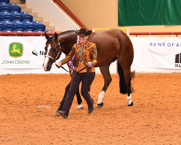 AQHA Approves to Move Forward With Select World Show