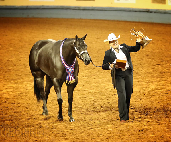 AQHA Halter Youth World Champions Include Niebrugge, Castle, Searles, West, and More