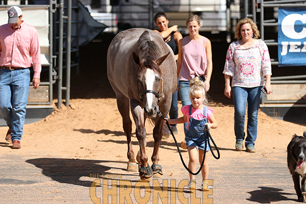 IEA Western National Finals Heads to APHA World Show