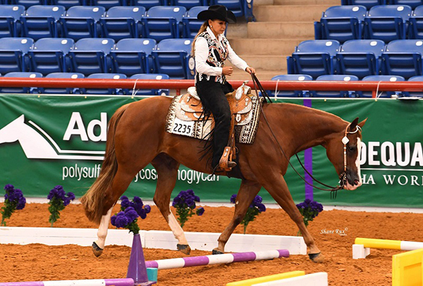 Entry Info For AQHA Select World Show