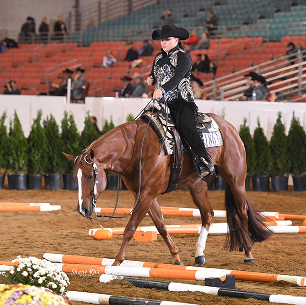 Bid Now – AQHA Pro Horsemen Guy Stoops Scholarship Auction- Lessons With 63 Trainers