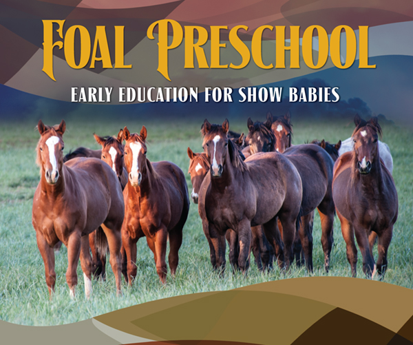 Foal Preschool • Early Education For Show Babies