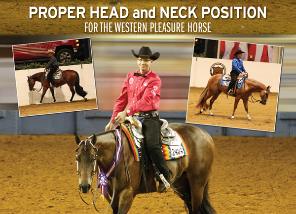 Proper Head and Neck Position for the Western Pleasure Horse