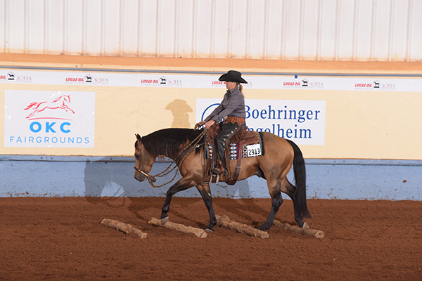 AQHA World Show Adds New Stakes Classes