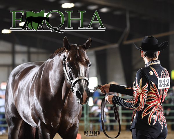 Photos and Results From EOQHA September Show