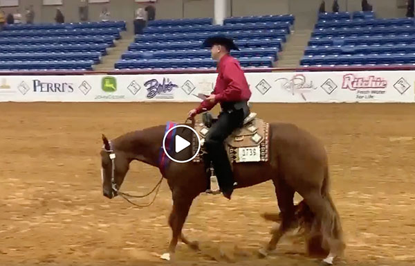 EC TV- APHA World Show- Green Western Pleasure