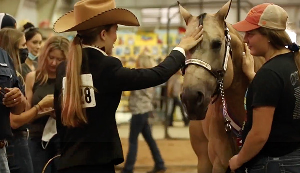 How Do We Measure a Horse’s Quality of Life?