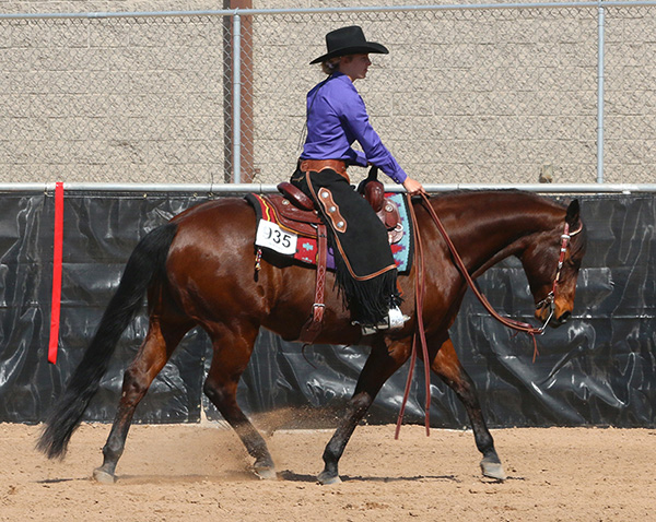Ranch Riding Futurities at AZ Fall Championship