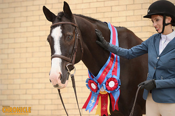 Half Blind Horse Wins Three Titles in Over Fence Classes at APHA World Show