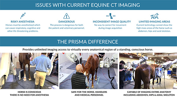 First-Ever Full-Body Equine Vet Imaging For Standing Conscious Horse