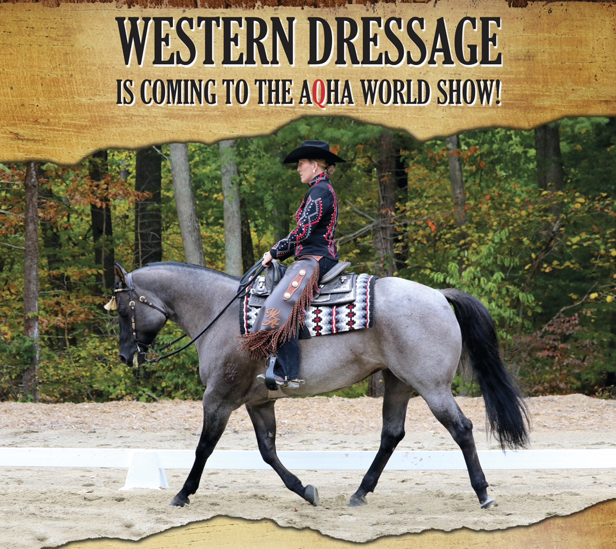 Western Dressage Coming to AQHA World Show