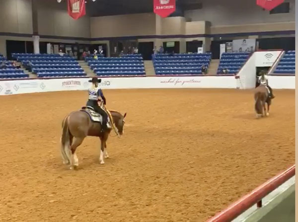 EC TV- APHA World- Amateur Junior Western Pleasure