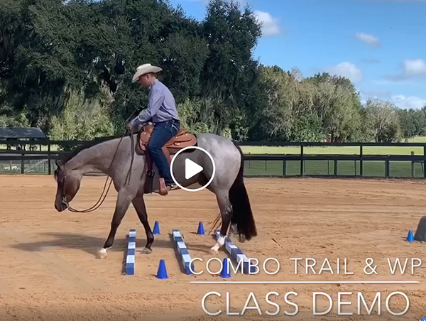 Tom Powers Christmas Challenge Western Pleasure/Trail Combo Class Demo