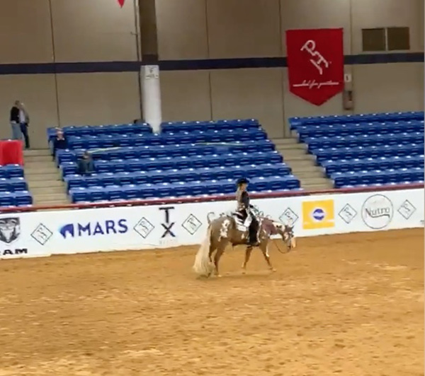 EC TV- APHA World Show- Junior Western Pleasure Victory Lap