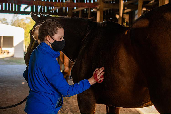UK Ag Equine Students Give Back to Equine Community During Equine Week of Service