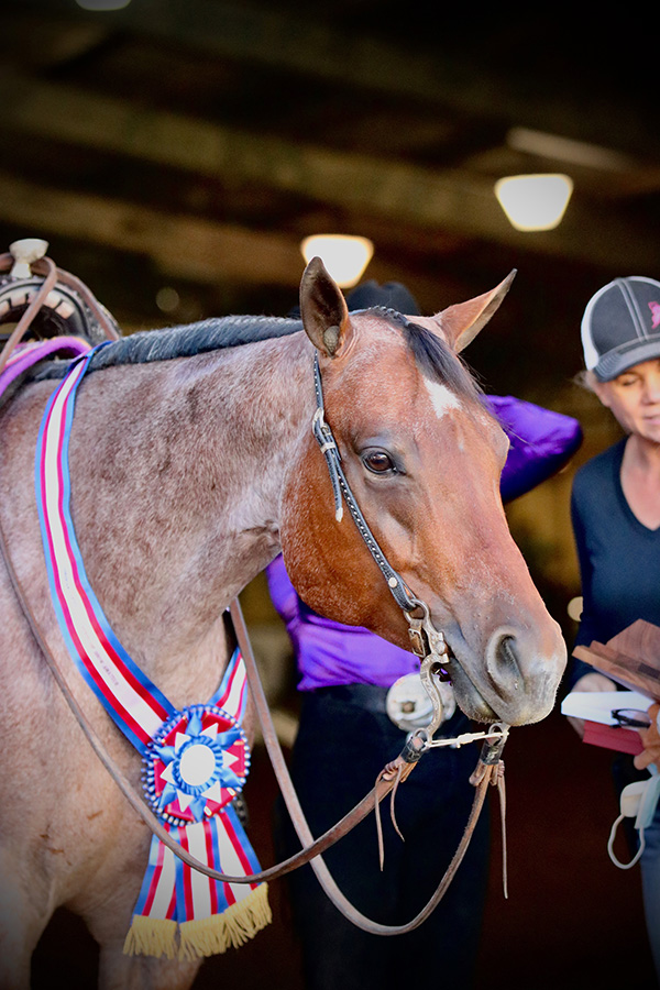Behind the Scenes at AQHA World Show