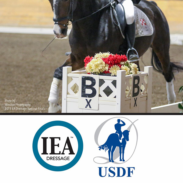 IEA Announces USDF As Member Partner