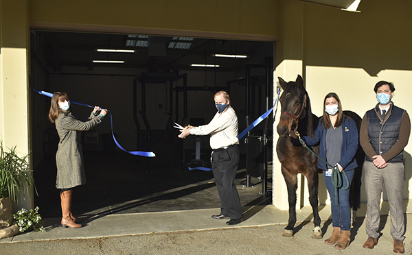 Equine Reproduction Service Updates Facilities at UC Davis Center for Equine Health