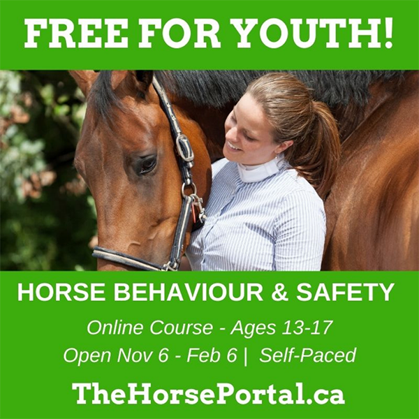 Free Equine Behavior and Safety Online Course Offered to Kids Around the World