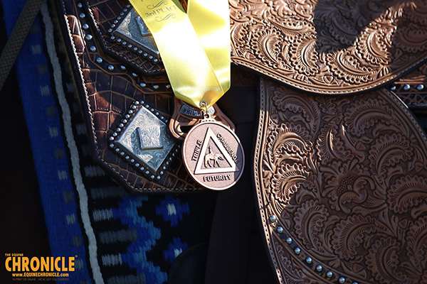 What Type of Horse Show Awards Do You Prefer?