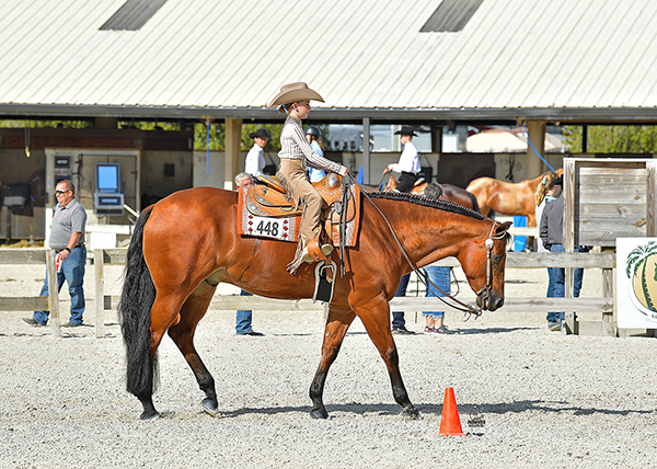 12/27-31 Results From 2020 Florida Gold Coast