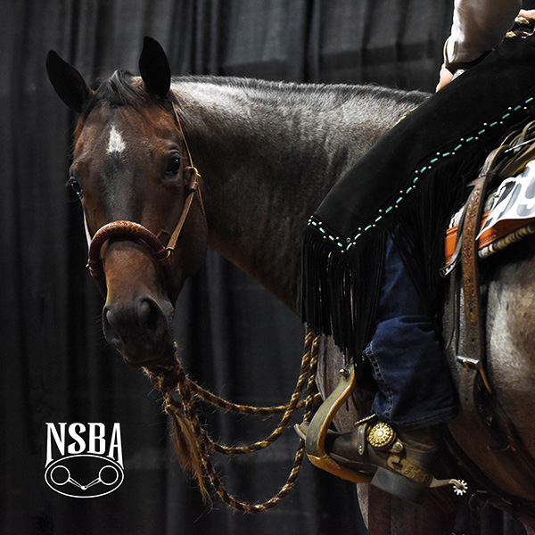 Starting in 2022, Horses in NSBA Classes Required to be Registered in Owner’s Name