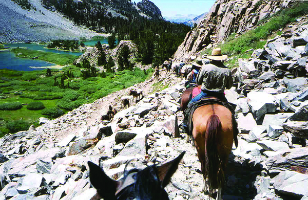 Track Wild Horses in the Inyo National Forest During Summer Horsepacking Courses