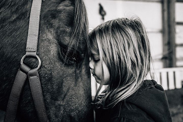EC Photo of the Day- Every Horse Deserves Love