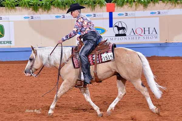 AQHA Level 1 Classes to Remain at Respective AQHA World Shows in 2021