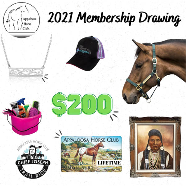 2021 ApHC Membership Drawing Winners
