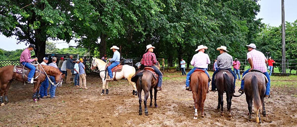 AQHA International Educational Marketplace Clinics