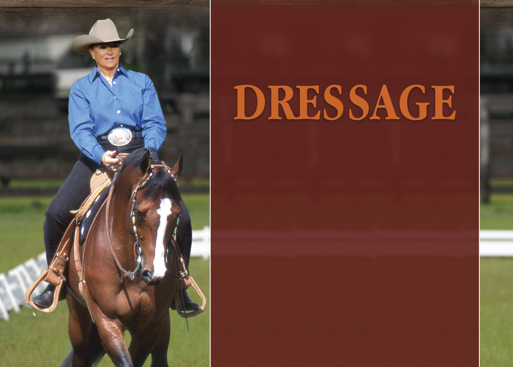 20 Years in the Making – Dressage Comes to the Forefront in AQHA