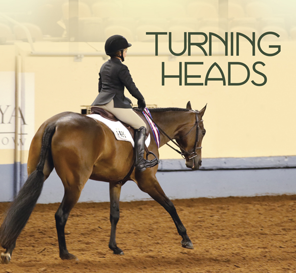 Turning Heads – Perfecting the Headset in the Hunter Under Saddle Horse