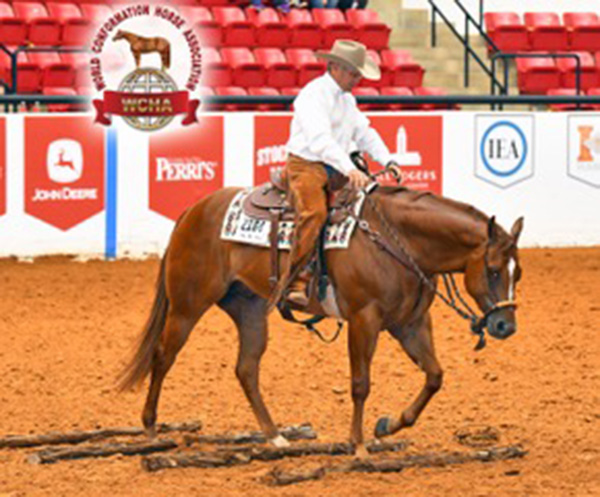 WCHA to Offer Yearling Longe Line, Two-Year-Old Ranch Pleasure, and Three & Over Ranch Versatility