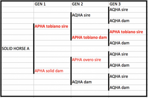 Three Paths to APHA Regular Registry, Thanks to New Rule Change ...