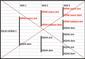 Three Paths to APHA Regular Registry, Thanks to New Rule Change ...