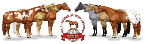 WCHA Hall of Fame- Honoring Excellence in the Halter Horse Industry