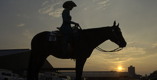 AQHA- Medroxyprogesterone Acetate Violations to be Enforced Starting August 15th, 2021