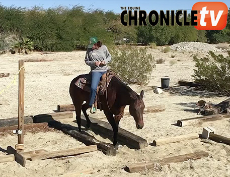 EC TV- Bridleless Natural Trail with Charlotte Green and Central Park West