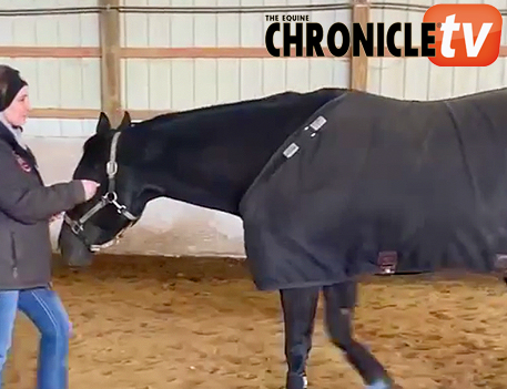 EC TV- Bridleless Showmanship Fun