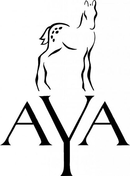 2021 AYA Director Results
