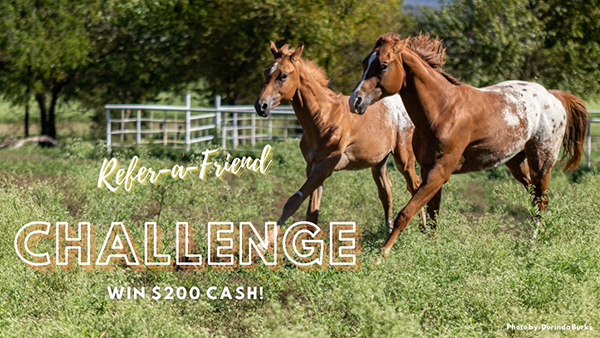 ApHC Refer-a-Friend Challenge- Win $200