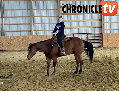 ECTV- Bridleless Horsemanship- Grace Gasper and Gota B A Hit