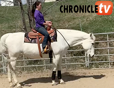 EC TV- Bridleless Horsemanship