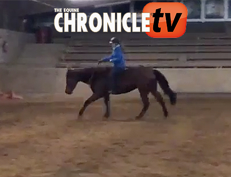 EC TV- Bridleless Western Riding