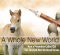 A Whole New World – How a Procedure Called ICSI Has Changed How We Breed Horses A Whole New World – How a Procedure Called ICSI Has Changed How We Breed Horses